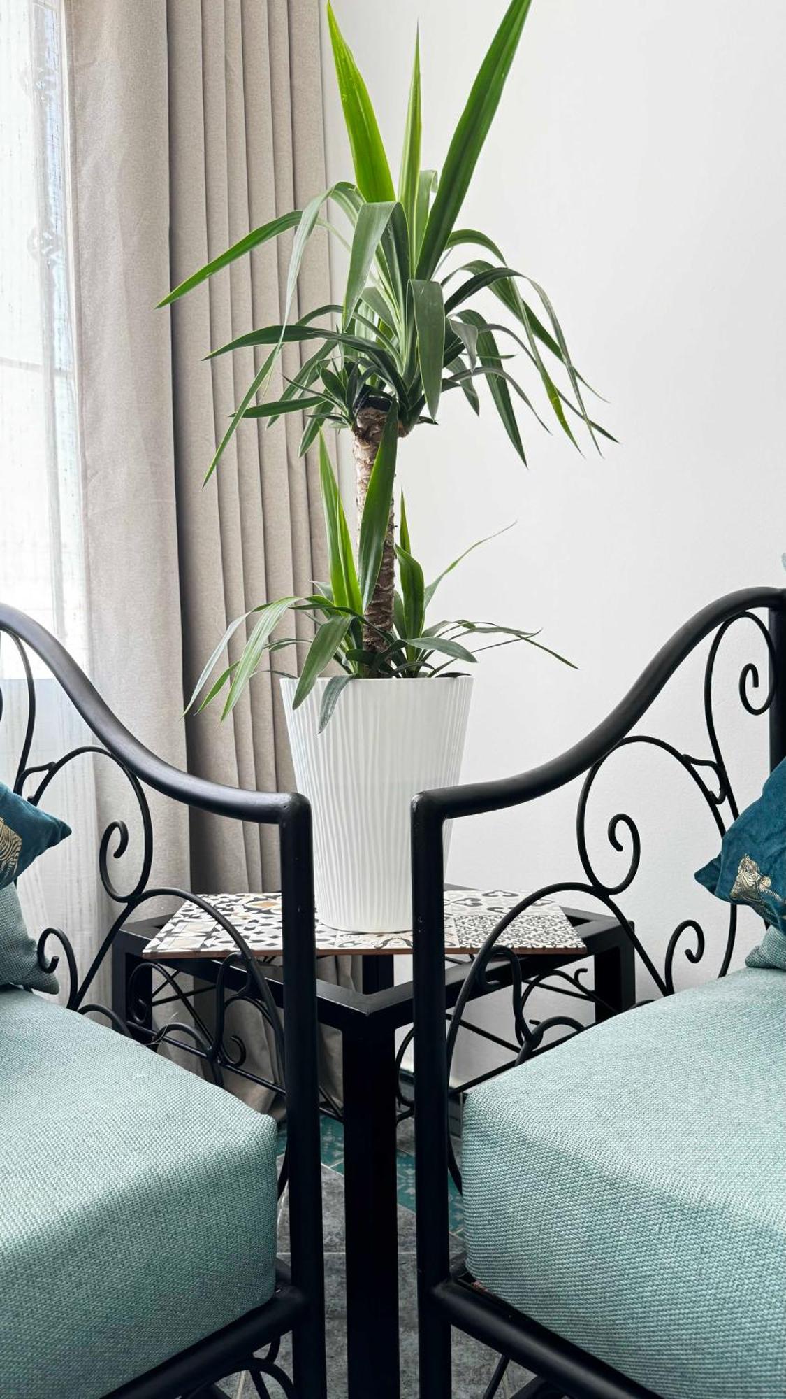 Apartamento Calays Tu Hogar Junto Al Mar Tánger Exterior foto